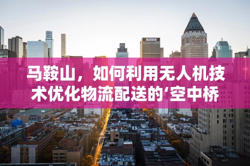 马鞍山，如何利用无人机技术优化物流配送的‘空中桥梁’？