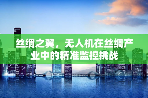 丝绸之翼，无人机在丝绸产业中的精准监控挑战