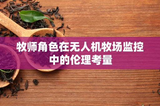 牧师角色在无人机牧场监控中的伦理考量