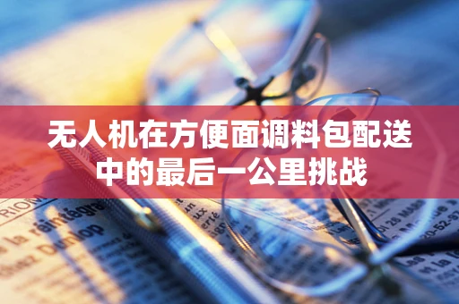 无人机在方便面调料包配送中的最后一公里挑战