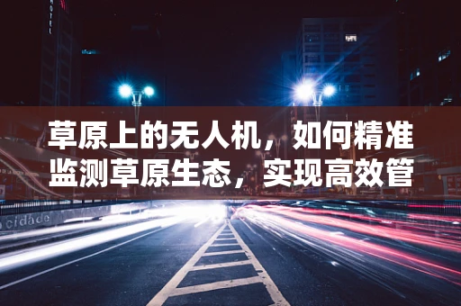 草原上的无人机，如何精准监测草原生态，实现高效管理？