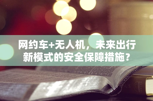 网约车+无人机，未来出行新模式的安全保障措施？