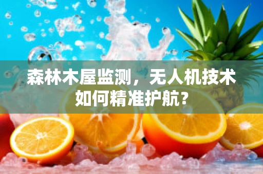 森林木屋监测，无人机技术如何精准护航？