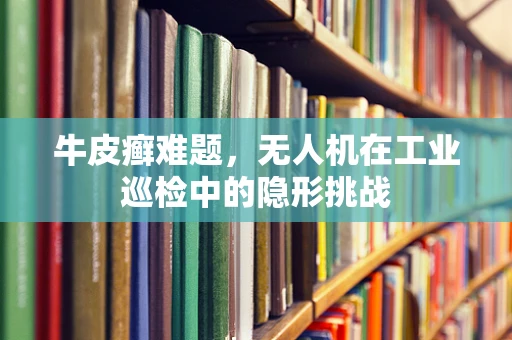 牛皮癣难题，无人机在工业巡检中的隐形挑战