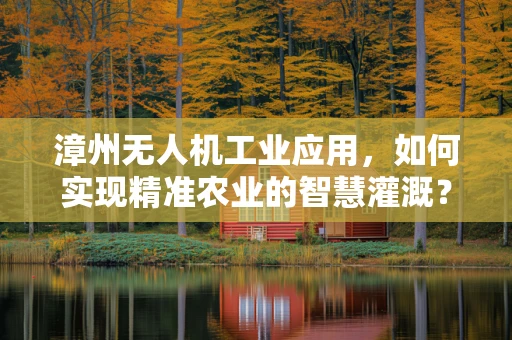 漳州无人机工业应用，如何实现精准农业的智慧灌溉？