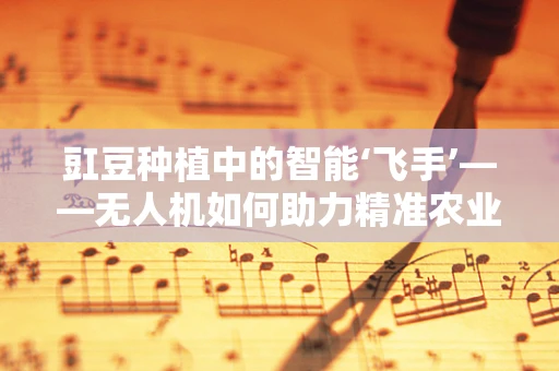豇豆种植中的智能‘飞手’——无人机如何助力精准农业？