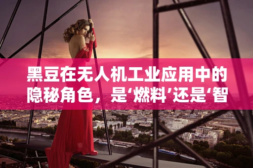 黑豆在无人机工业应用中的隐秘角色，是‘燃料’还是‘智能’的催化剂？