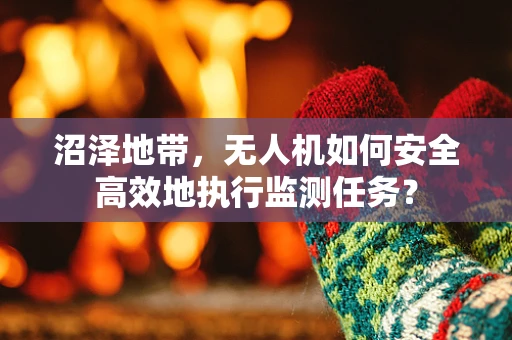 沼泽地带，无人机如何安全高效地执行监测任务？