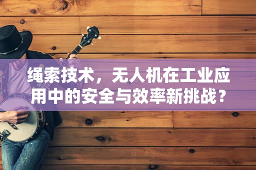 绳索技术，无人机在工业应用中的安全与效率新挑战？