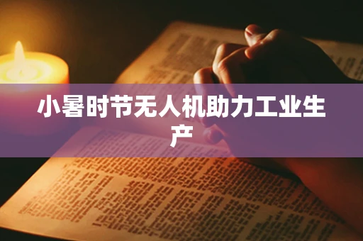 小暑时节无人机助力工业生产