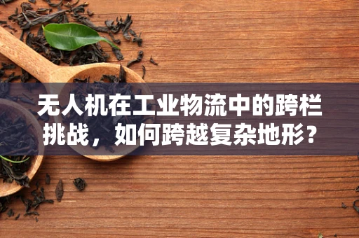 无人机在工业物流中的跨栏挑战，如何跨越复杂地形？