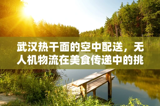 武汉热干面的空中配送，无人机物流在美食传递中的挑战与机遇