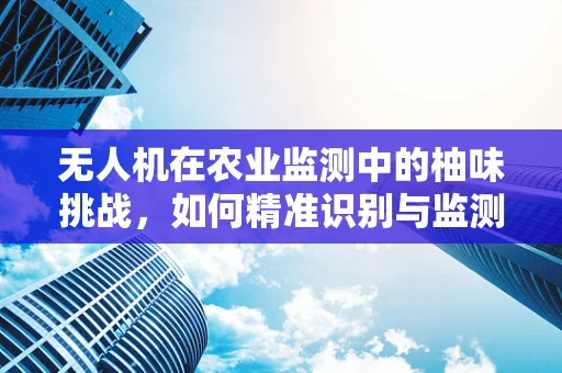 无人机在农业监测中的柚味挑战，如何精准识别与监测柚子树健康状况？