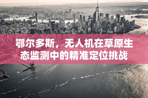 鄂尔多斯，无人机在草原生态监测中的精准定位挑战