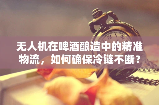 无人机在啤酒酿造中的精准物流，如何确保冷链不断？
