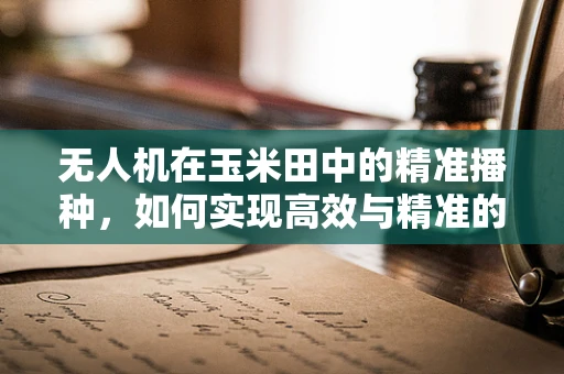 无人机在玉米田中的精准播种，如何实现高效与精准的双重飞跃？