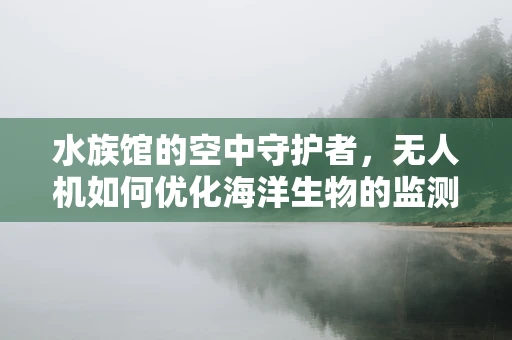 水族馆的空中守护者，无人机如何优化海洋生物的监测？