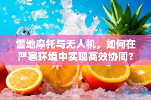 雪地摩托与无人机，如何在严寒环境中实现高效协同？
