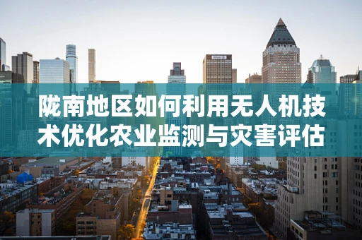 陇南地区如何利用无人机技术优化农业监测与灾害评估？
