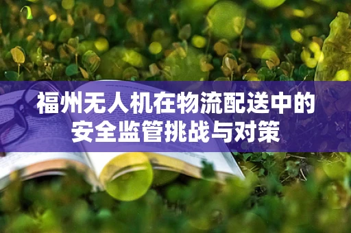 福州无人机在物流配送中的安全监管挑战与对策