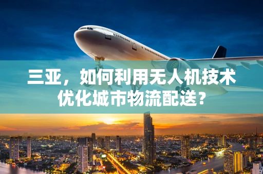 三亚，如何利用无人机技术优化城市物流配送？