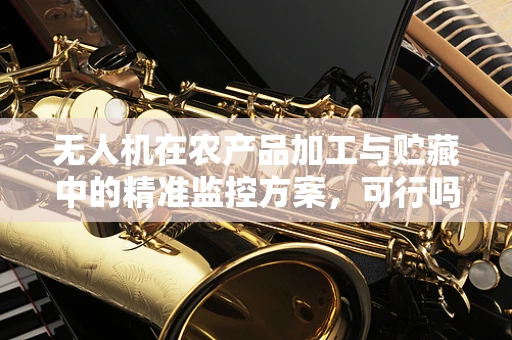 无人机在农产品加工与贮藏中的精准监控方案，可行吗？