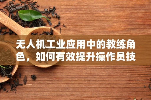 无人机工业应用中的教练角色，如何有效提升操作员技能？