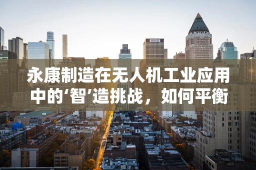 永康制造在无人机工业应用中的‘智’造挑战，如何平衡成本与技术创新？
