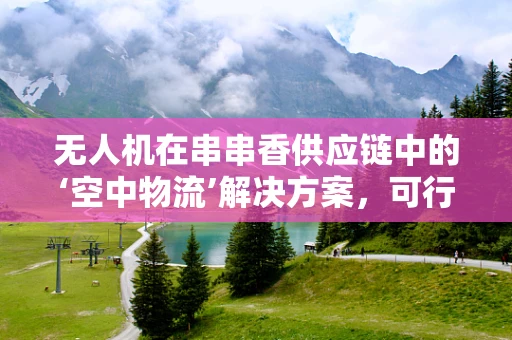 无人机在串串香供应链中的‘空中物流’解决方案，可行吗？