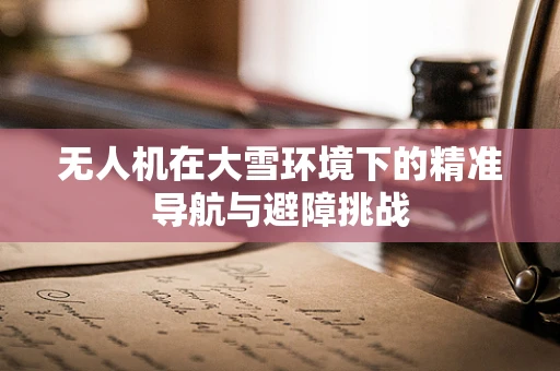 无人机在大雪环境下的精准导航与避障挑战