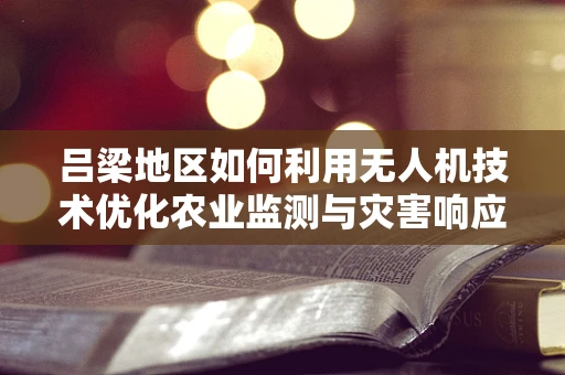 吕梁地区如何利用无人机技术优化农业监测与灾害响应？