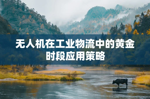 无人机在工业物流中的黄金时段应用策略