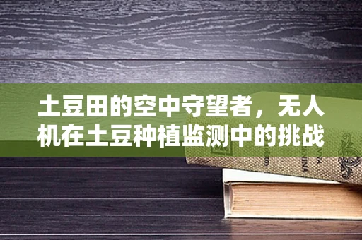 土豆田的空中守望者，无人机在土豆种植监测中的挑战与机遇？