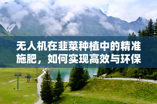 无人机在韭菜种植中的精准施肥，如何实现高效与环保的平衡？
