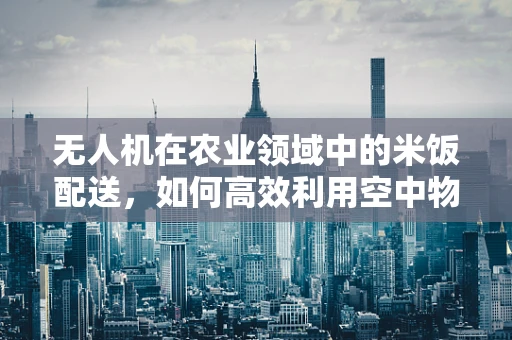 无人机在农业领域中的米饭配送，如何高效利用空中物流优化稻田灌溉？