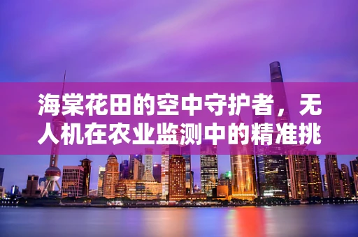 海棠花田的空中守护者，无人机在农业监测中的精准挑战