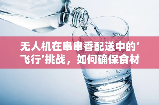 无人机在串串香配送中的‘飞行’挑战，如何确保食材新鲜与安全？