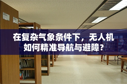 在复杂气象条件下，无人机如何精准导航与避障？