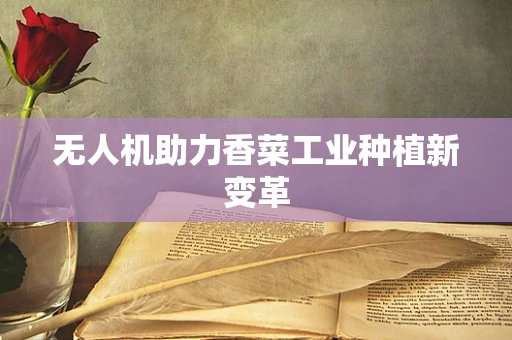 无人机助力香菜工业种植新变革