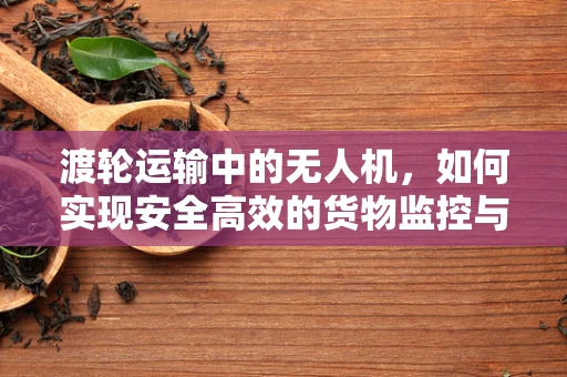 渡轮运输中的无人机，如何实现安全高效的货物监控与运输？