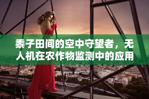 黍子田间的空中守望者，无人机在农作物监测中的应用挑战