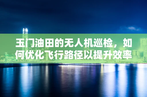 玉门油田的无人机巡检，如何优化飞行路径以提升效率？
