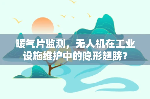 暖气片监测，无人机在工业设施维护中的隐形翅膀？