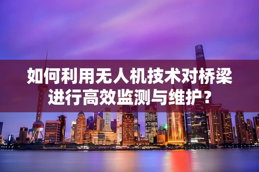 如何利用无人机技术对桥梁进行高效监测与维护？