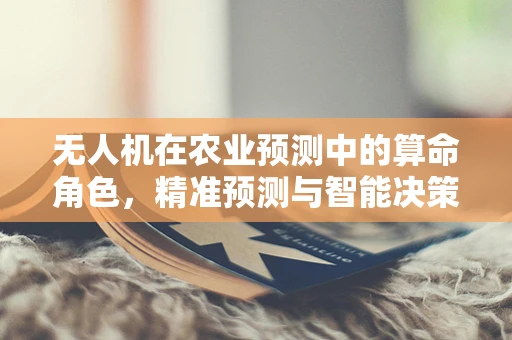 无人机在农业预测中的算命角色，精准预测与智能决策的融合