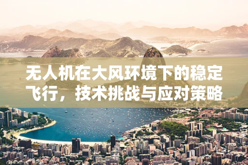 无人机在大风环境下的稳定飞行，技术挑战与应对策略