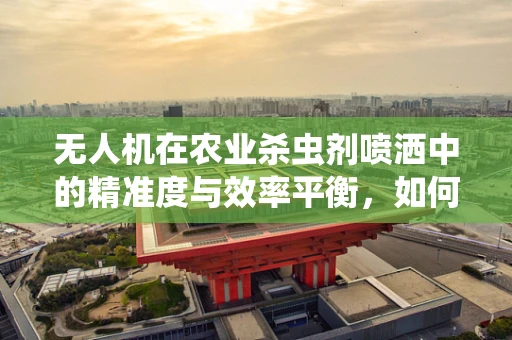 无人机在农业杀虫剂喷洒中的精准度与效率平衡，如何实现？