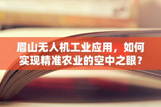 眉山无人机工业应用，如何实现精准农业的空中之眼？