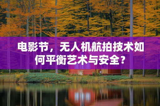 电影节，无人机航拍技术如何平衡艺术与安全？