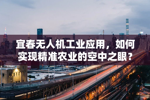 宜春无人机工业应用，如何实现精准农业的空中之眼？